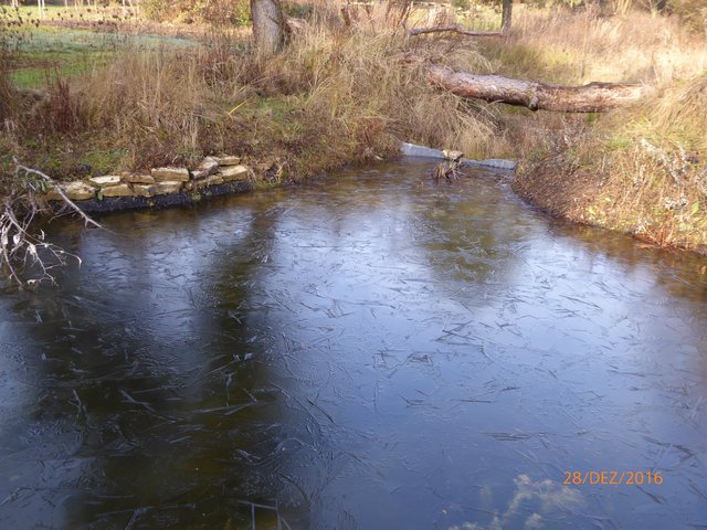 Der Teich im späten Dezember 2016. | Foto: NABU Bretten
