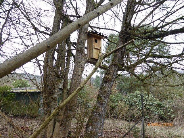 Hier finden geflügelte Zeitgenossen ein trockenes Plätzchen. | Foto: NABU Bretten