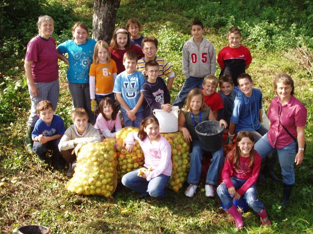 Apfelernte im Hohlweg 2006.