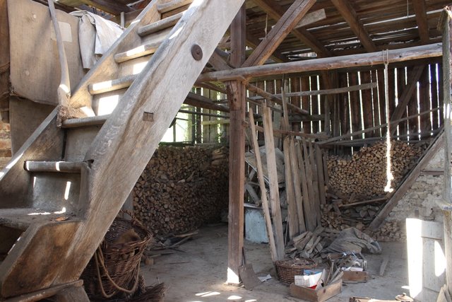 "An den denke ich erst im zweiten Schritt", sagt Bohnstedt.
