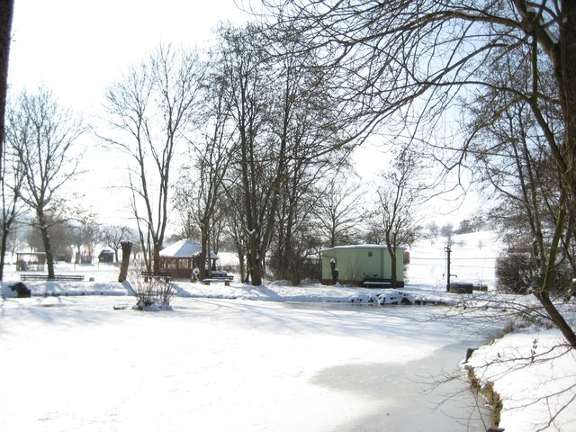 Der zugefrorene Teich.