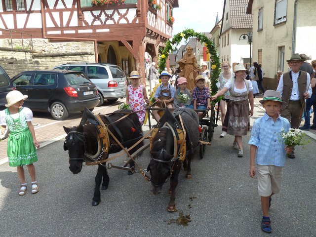 Das Shetland-Gespann zieht die Petrusstatue, die Dickemanns Frau Rita dem Namenspatron der Bauerbacher Kirche gestiftet hat.