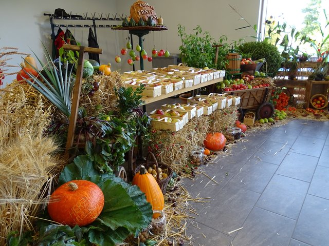 Ausstellung zum Erntedankfest, von Obst- und Gartenbauverein, Ortschaftsrat und Musikverein auf die Beine gestellt.