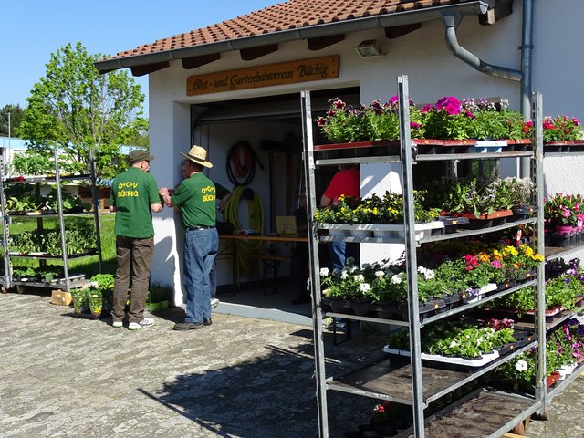 Der Frühjahrsblumenmarkt des Obst- und Gartenbauvereins.