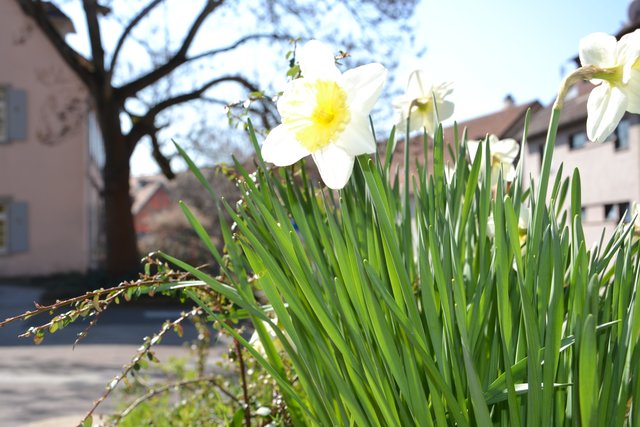 Vor der Stadtbücherei