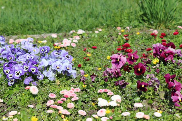 Blumen-Arrangement in Rinklingen