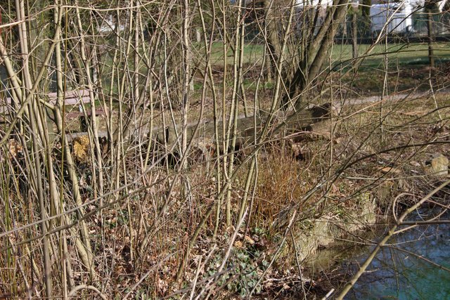 Holzkrokodil als Dürrenbüchiger Teich