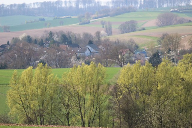 Aussicht von Neibsheim