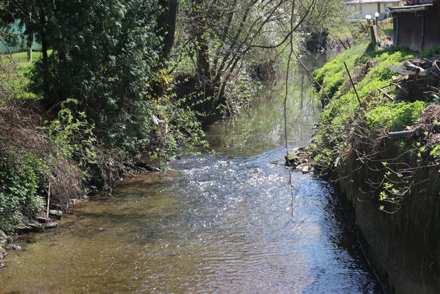 Saalbach in Diedelsheim