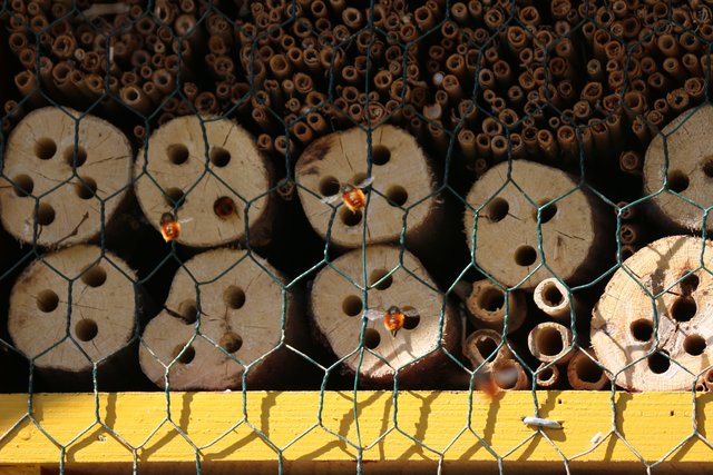 Insektenhotel in Sprantal