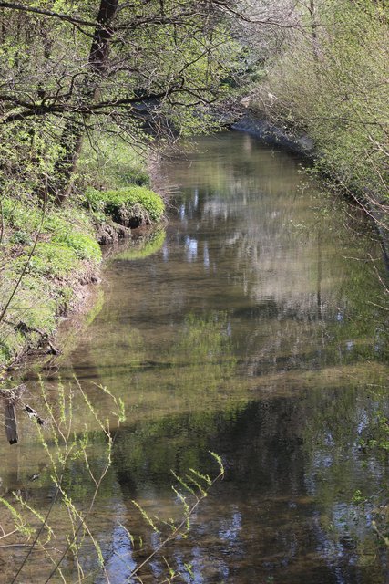 Saalbach in Rinklingen