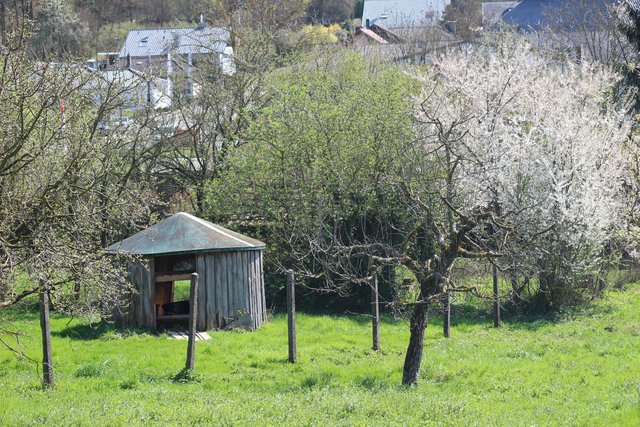 Hütte in Neibsheimer Garten