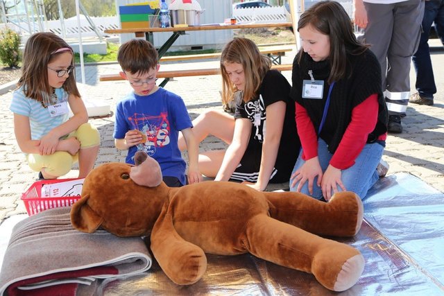Anhand eines Kuschelbären brachte der DRK-Ortsverein Kindern die Rettungskette im "Bärenhospital" näher.
