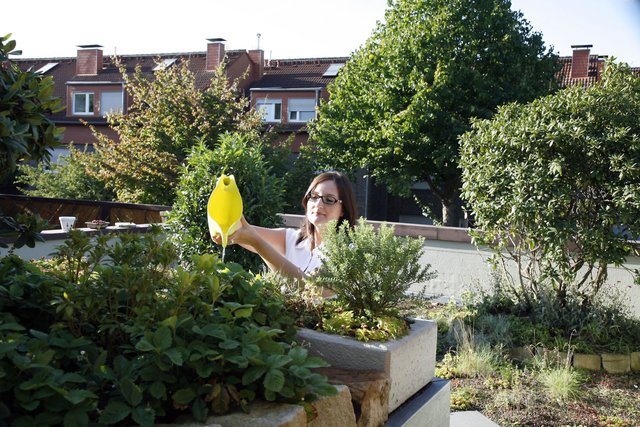 Auch durch eine weitere Option zeichnen sich Flachdächer aus: Sie werden zunehmend als Dachterrasse oder als Gründach genutzt und sorgen damit für Lebensqualität und positive Klimawirkungen. Foto: djd/FPX Fachvereinigung