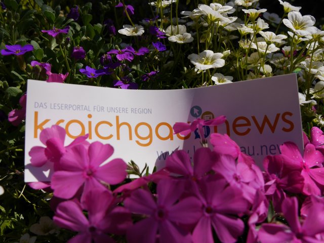 Frühlingsblumen- einfach herrlich :)