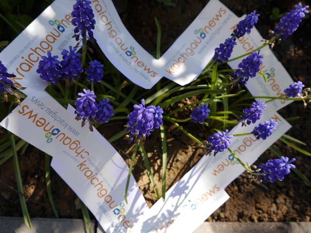 Herzliche Grüße aus dem Kraichgau