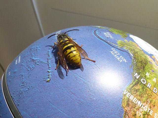 summ, summ, sehr nass hier, aber ich finde den Frühling....