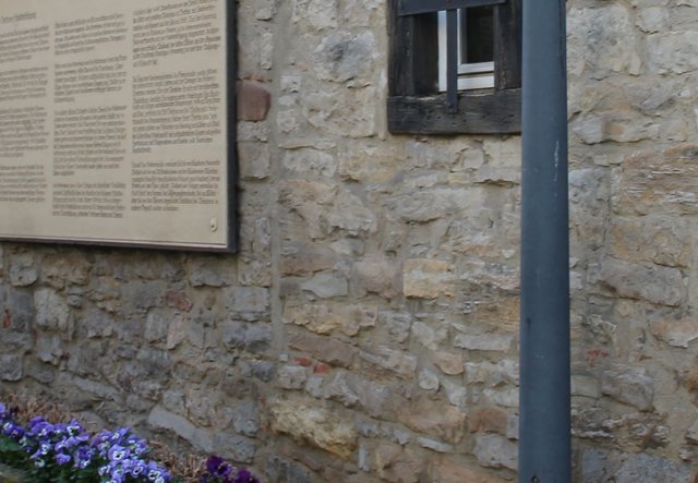 Dem dritten Hundle geht es ans Leder. | Foto: wh