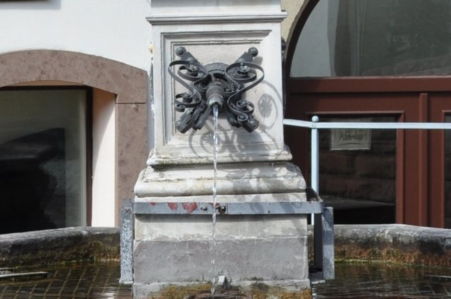 Das erste Hundle ist nie durstig. | Foto: ch