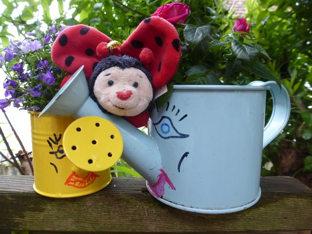 juhuuuuu..... frühling gefunden... die gefühle sind überall vorhanden !