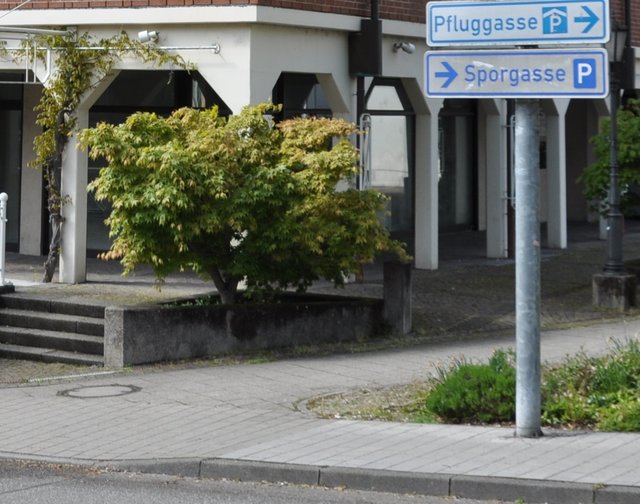 Das fünfte Hundle ist etwas flach, aber hat dafür seinen Zwilling mitgebracht. | Foto: ch