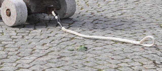 Das zweite Hundle läuft im Gänsemarsch. | Foto: ch