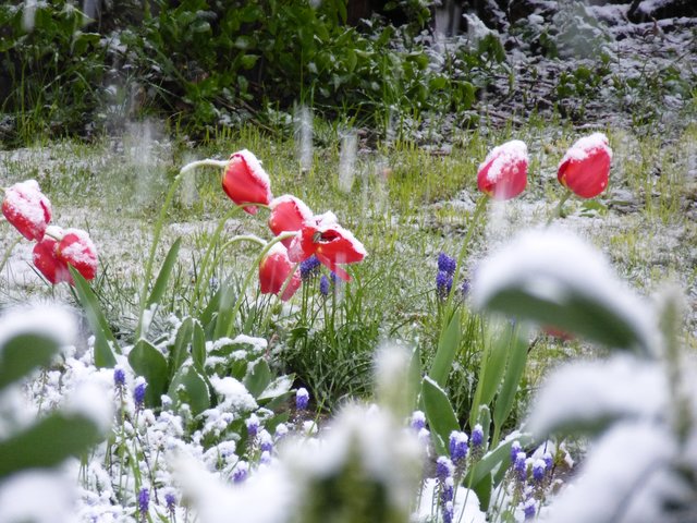 angekommen, aber immer noch winterwetter im April....