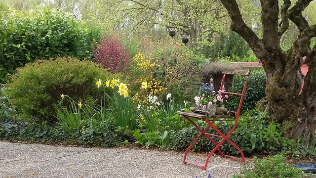 Frühling in Bretten