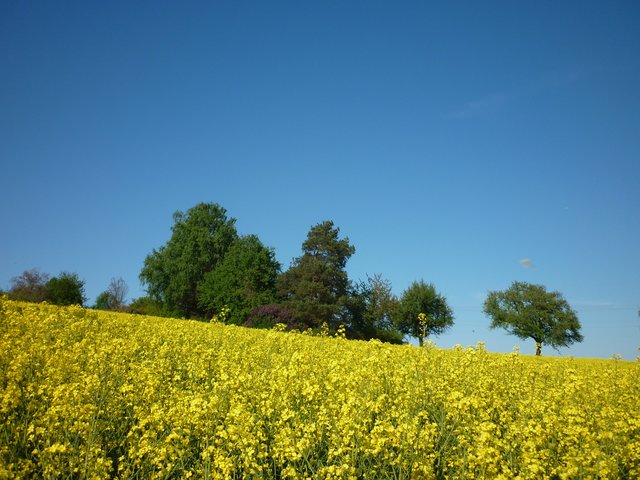 zwischen Bretten und Großvillars