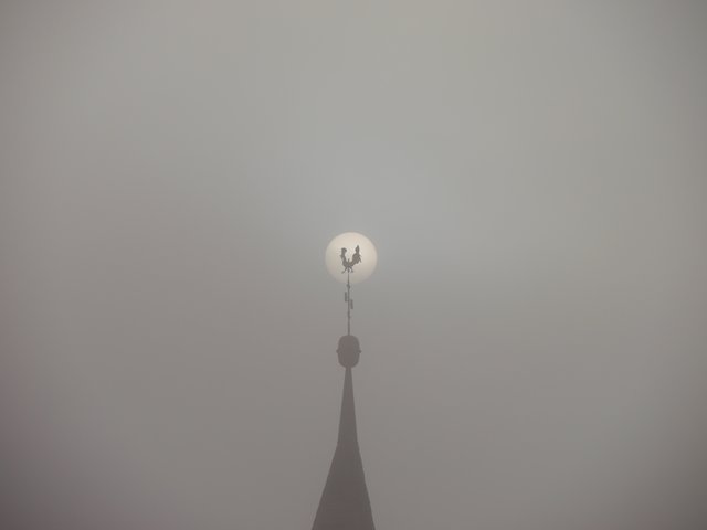 Frühling??? Fühlt sich heute eher nach Herbst an!