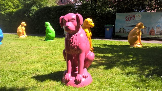 Bunte Brettener Hundewiese