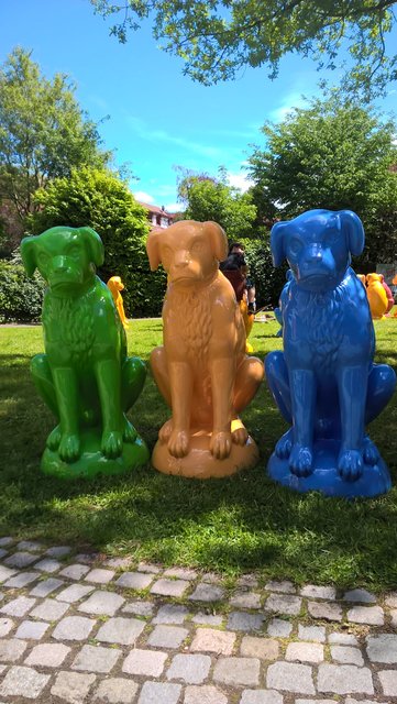 S'Brettenerhundle* 3 in BUNT