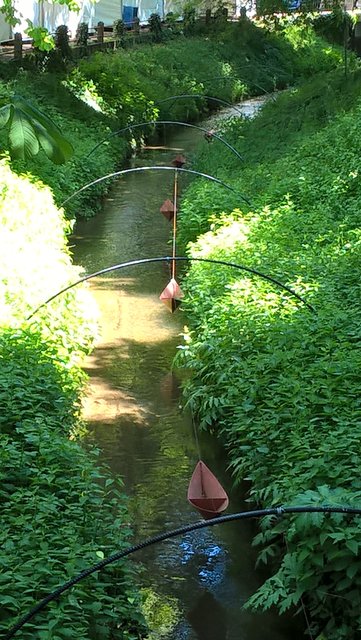 Kleines idyllisches Bächle im bunten Bretten