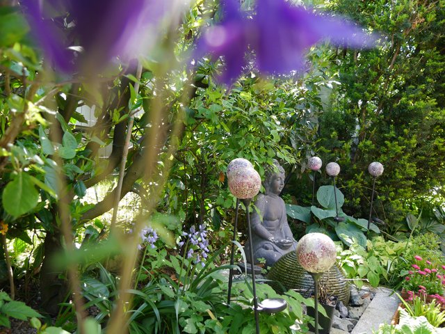 Frühlingsgrüße aus dem Garten