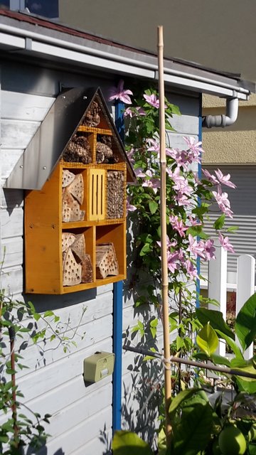 Hotel mit Frühstück