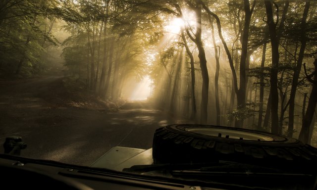 Früh morgens im Kraichgau ...