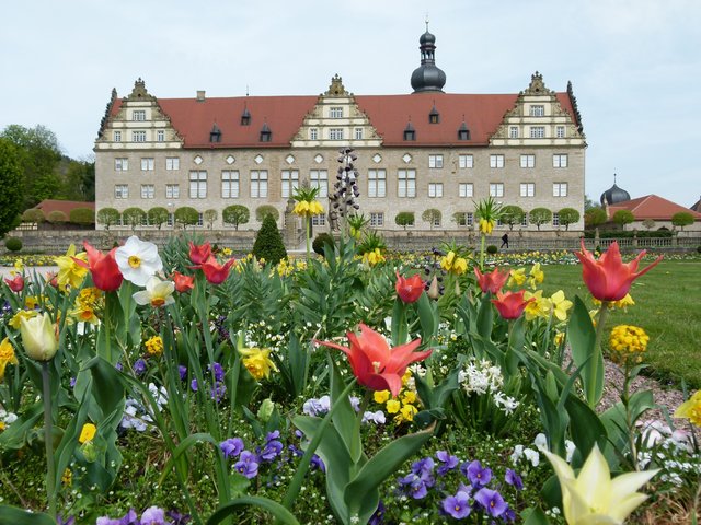 In voller Blüte steht der barocke Lustgarten auf der Südseite des Weikersheimer Schlosses mit mehr als 40000 Pflanzen zwischen den historischen Sandsteinfiguen. | Foto: Staatliche Schlösser und Gärten Baden-Württemberg