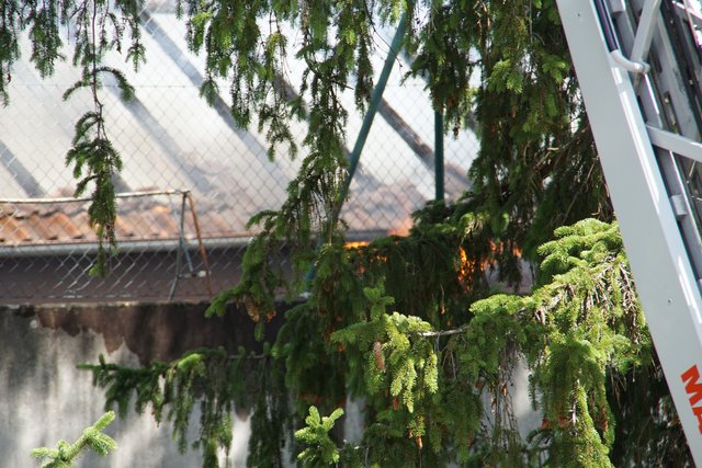 Offenbar haben Bitumenarbeiten auf dem Dach eines Wohn- und Geschäftshauses in der Muehlacker Bahnhofstrasse ausgelöst.