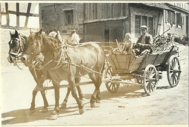 Fuhrwerke wie dieses, egal ob mit Pferden oder Kühen, prägte früher auch hier das dörfliche Leben. Heute erinnert es noch an die „gute, alte Zeit“. Die Aufnahme mit dem Buben Horst Augenstein entstand Ende der 1940-er Jahre. | Foto: Dietrich