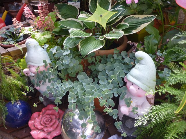 Es grünt so grün....