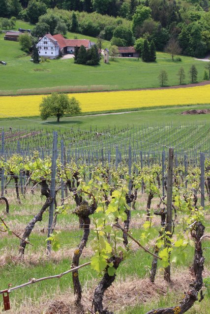 Frühling liegt in der Luft