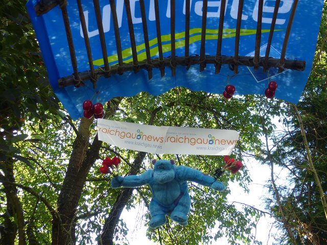 sooo, die 1.Jahreszeit verabschiedet sich mit den letzten Frühlingsblüten, und den ersten Frühlingskirschen, die mit einem Gleischirm einfliegen, und den Sommer einleuten  !