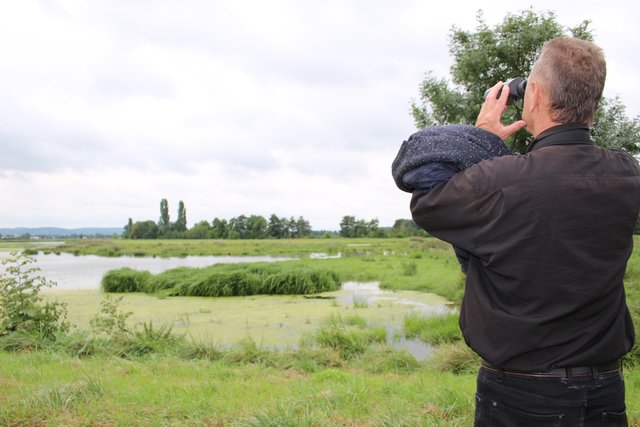 Franz Debatin, erster Vorsitzender des NABU Hambrücken, führte über die Saalbachwiesen.