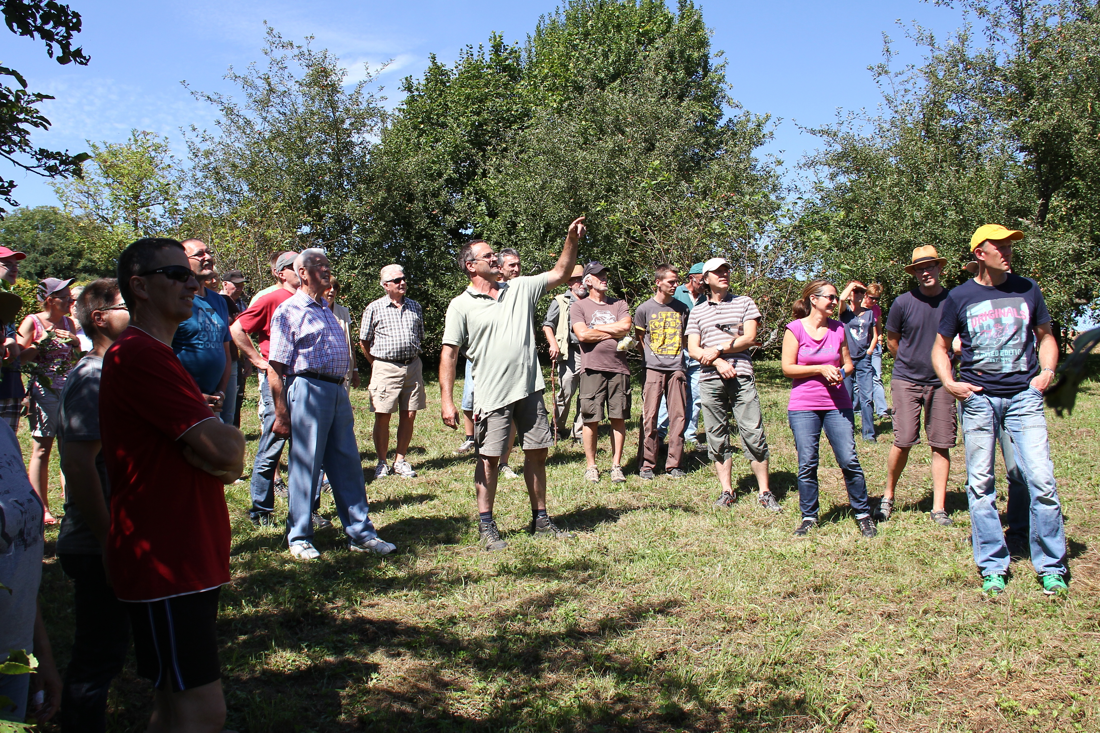 Andreas Siegele mit den Teilnehmern des Sommerschnittkurses 2016 des OGV Rinklingen
Foto: Thomas Peschel