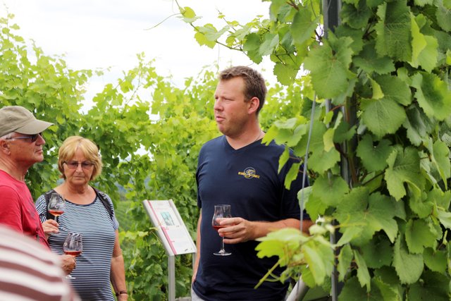 Christian Maierhöfer, Schwiegersohn von Silvia und Heinz Steinmetz, erklärte auf dem Derdinger Horn seinen interessierten Zuhörern die Merkmale der unterschiedlichen Rebsorten ...