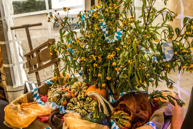 (Foto: Lothar Schmitt)