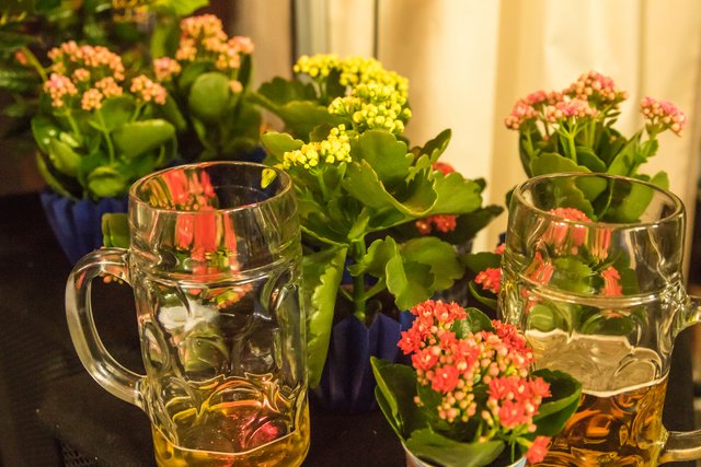 (Foto: Lothar Schmitt)