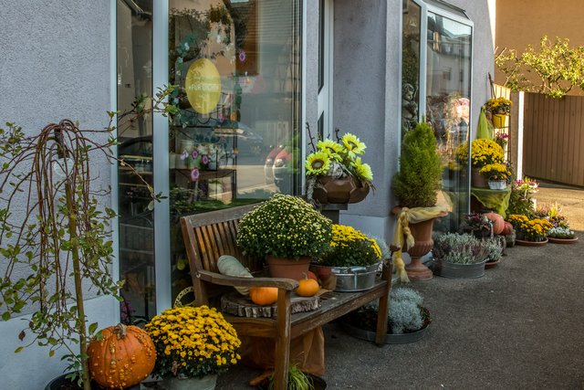 (Foto: Lothar Schmitt)