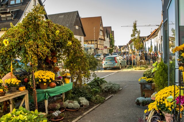 (Foto: Lothar Schmitt)