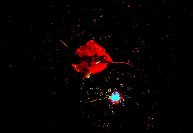 ... auch am Nachthimmel kann man Halloween-Feten beobachten...